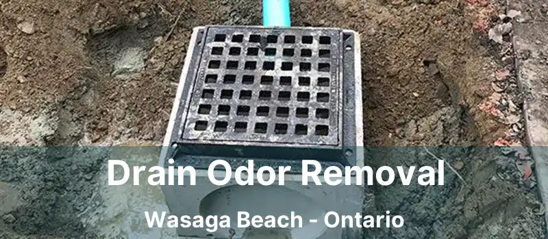  Drain Odor Removal Wasaga Beach - Ontario