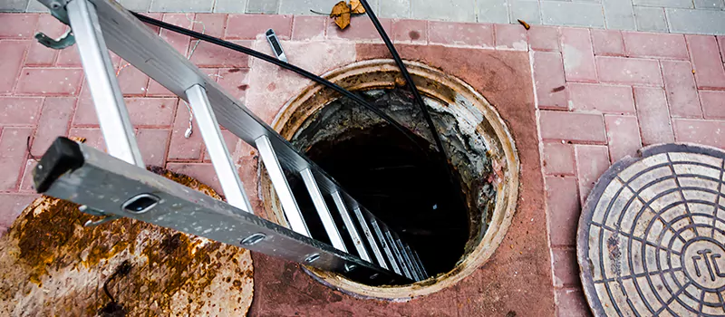 Emergency Sewer Replacement Services in Wasaga Beach, ON